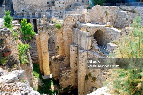 Overgrown Ruins At The Pool Of Bethesda Stock Photo Download Image