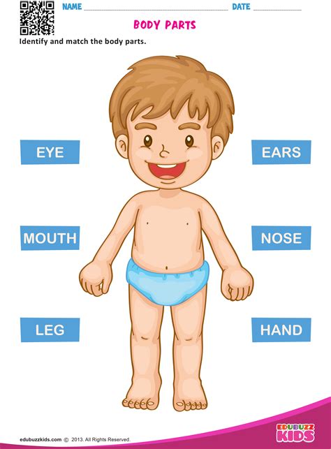 Identifying Body Parts Worksheet For Kindergarten Parts Body Vocabulary