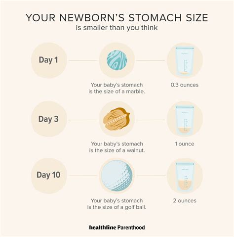 Your Newborns Stomach Size Is Smaller Than You Think Hot Sex Picture