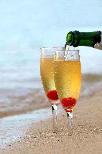 beach champagne champagne champagne lovers wine