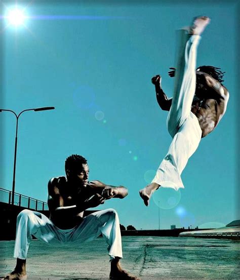 capoeira martial arts moves скачать poppy artx