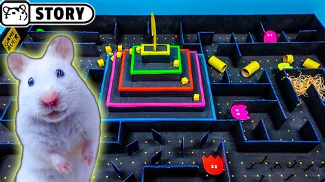 Hamster Maze Video Game Xpertroc