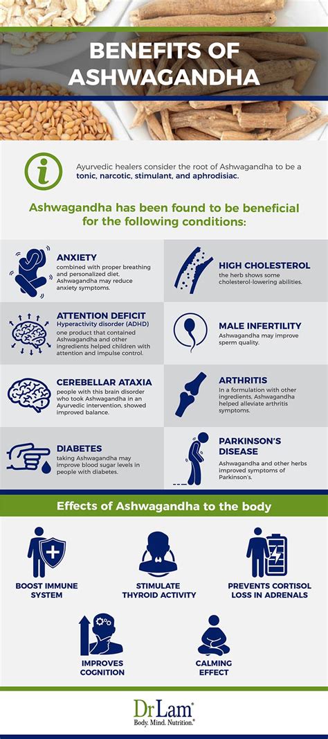 Benefits Of Ashwagandha For Adrenal Fatigue Sufferers