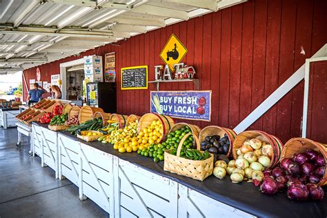 Why Does Farm Fresh Food Taste So Great Harvest Time In Brentwood