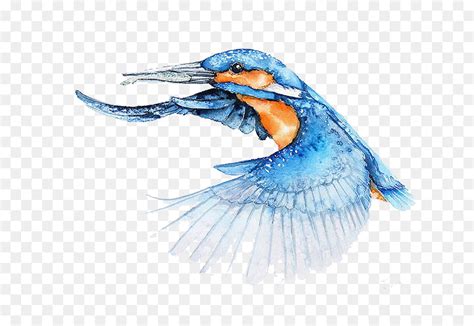 Flying Bird Watercolor At Getdrawings Free Download