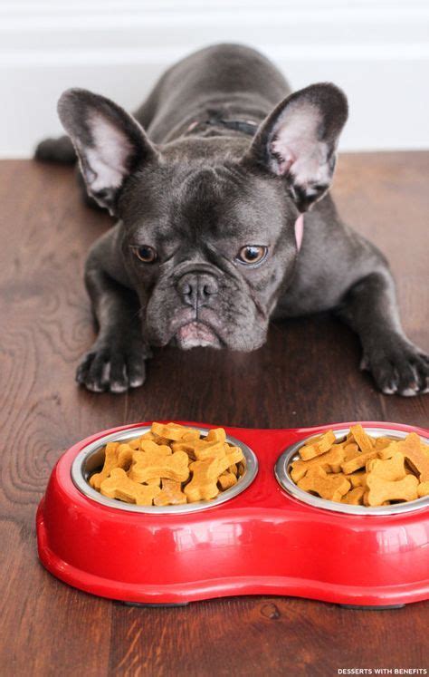 Healthy Homemade Peanut Butter Pumpkin Dog Treats Diy Dog Treats