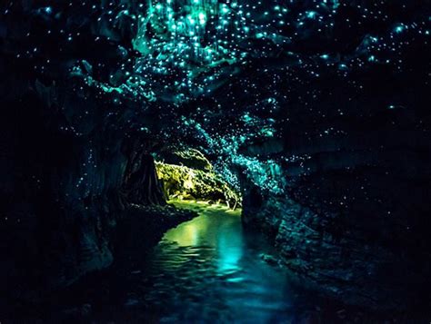 Waitomo Caves Series 10 Natural Wonders Of The World