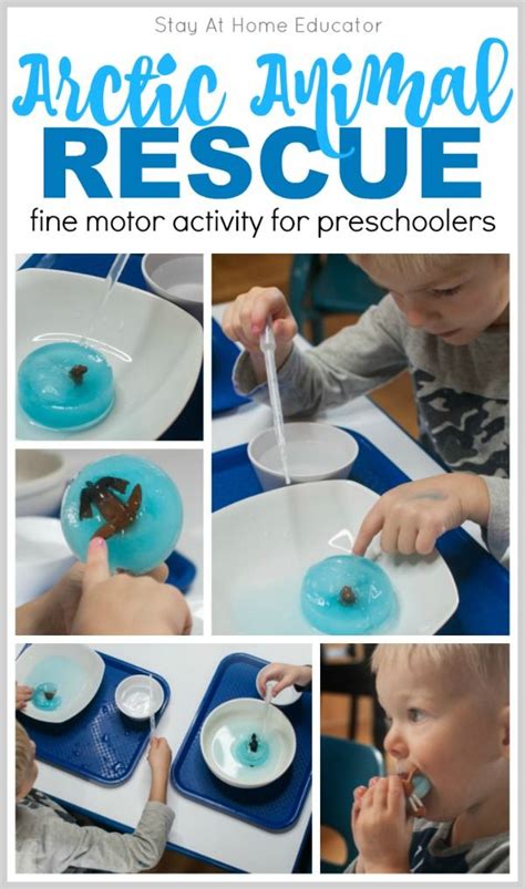Arctic Animal Fine Motor Activities For Preschoolers Preschool