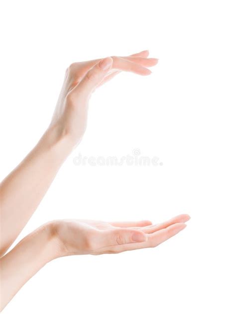 291 Two Human Hands Holding Something Stock Photos Free And Royalty