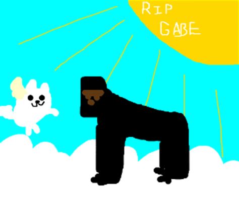 They can get cancer, be poisoned, have heart attacks, get hit by a car. Gabe the dog has died. May he bork ever on. - Drawception