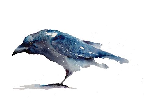 Limited Edition Print By Watercolour Artist Jane Davies Watercolor