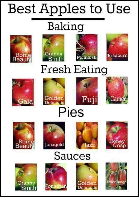 Types Of Apple Chart