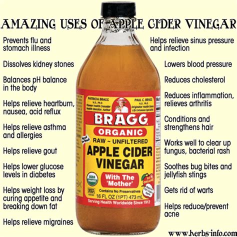Amazing Benefits Of Apple Cider Vinegar Herbs Info