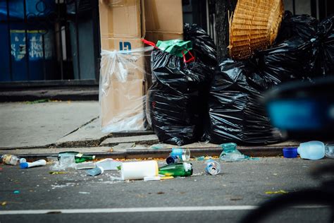 Litter Pictures Hd Download Free Images On Unsplash