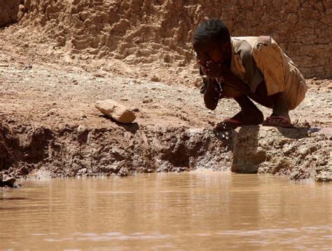 La Sequía En El Cuerno De África Ha Provocado 33 Millones De Desplazamientos Efeverde
