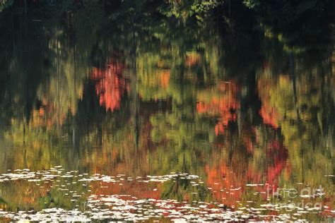 Fall Reflections Photograph By Teresa McGill Fine Art America