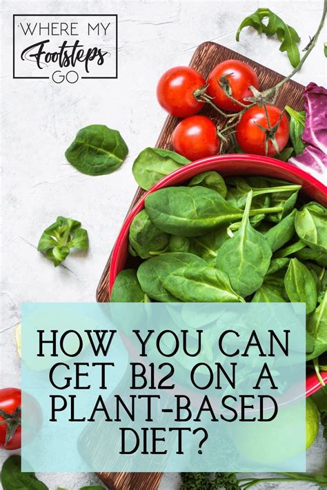 B12 Deficiency Foods To Eat Vegetarian - Foods Details