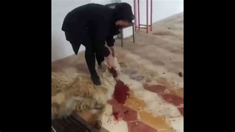 Woman Slaughter A Sheep Under Feet YouTube