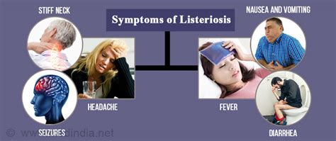 Listeria is a genus of bacteria that acts as an intracellular parasite in mammals. Listeria Infection - Causes, Symptoms, Risk Factors ...