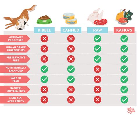 Dog Human Food Chart