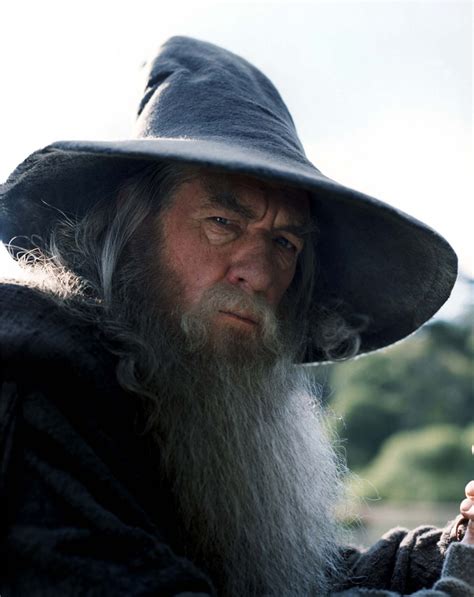 Gandalf Lord Of The Rings Wiki