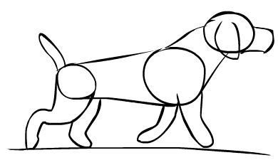 Como dibujar un perro paso a paso | Como dibujar un perro, Como dibujar