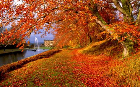 Free Download 50 Autumn Paintings Desktop Wallpapers Download At