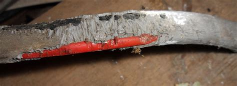 Nature pest control provides complete professional pest control services for residential homes and commercial buildings. Rat Control in Sri Lanka | Rentokil Pest Control