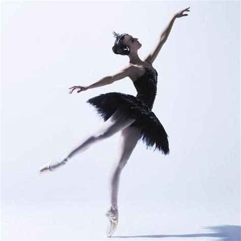 Black Swan Australian Ballet Dance Photography Ballet Beautiful