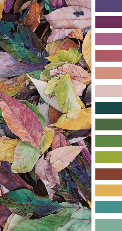 Colorful Autumn Leaves Color Id Pantone By Leaff Color Crush