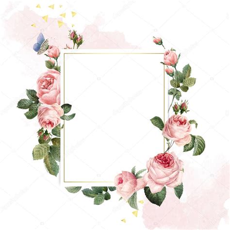 Background Pink And White Blank Rectangle Pink Roses