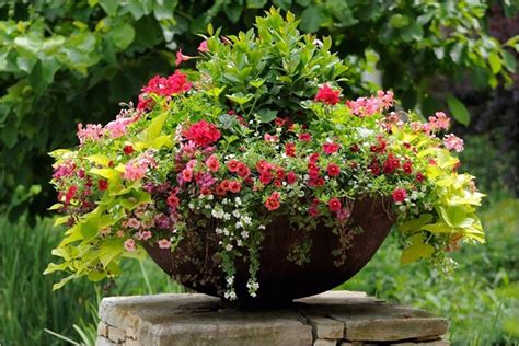 25 Most Beautiful Container Garden Combination Ideas You Will Love 33