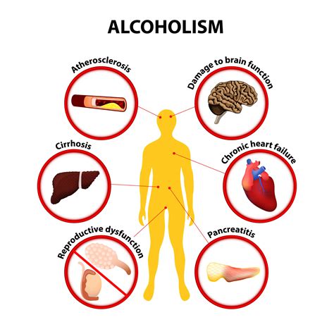 The Truth About What Alcohol Does To Your Body QuitAlcohol Com