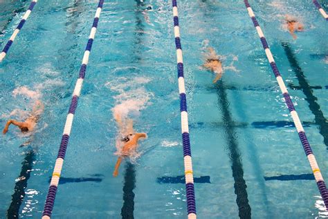 Free Images Pool Leisure Fitness Swimmer Race Competition Lanes