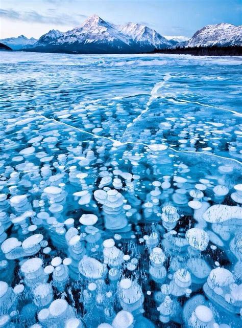 Khuvsgul Lake Mongolia Frozen Bubbles Abraham Lake National