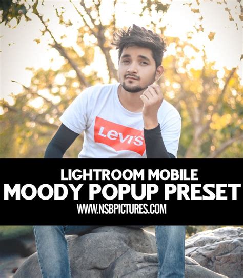 If you face any kind of problem during download then kindly leave a. moody pop up lightroom mobile preset - FREE download ...