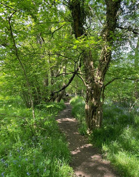 Path Leading From Dodsley Wood © Mr Ignavy Cc By Sa20 Geograph