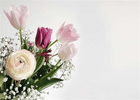 Flower Arrangement Wallpapers Top Free Flower Arrangement Backgrounds