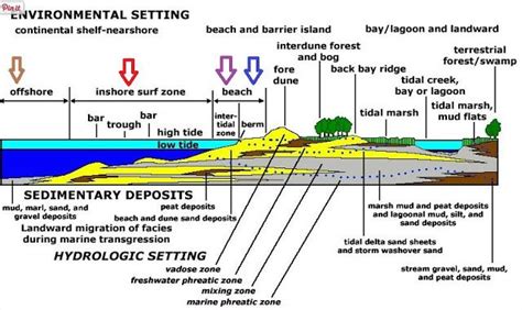 Where is metal detecting allowed? The Treasure Beaches Report brought to you from Florida's ...