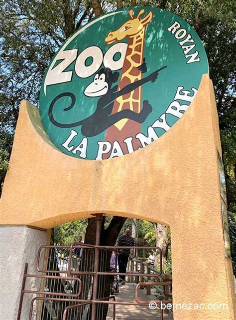 Visitez Le Zoo De La Palmyre Proche Royan