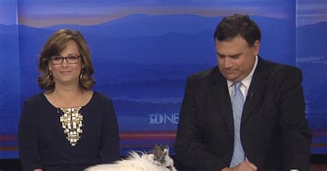 When Bunnies Have Sex On Live Tv Wbir Tvs Easter Broadcast Took An X