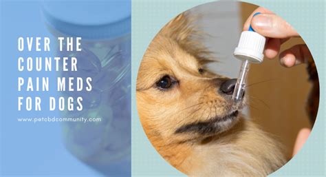 Over The Counter Pain Meds For Dogs Pet Cbd Community June 2020