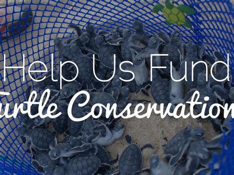 Help Us Fund Turtle Conservation Indiegogo