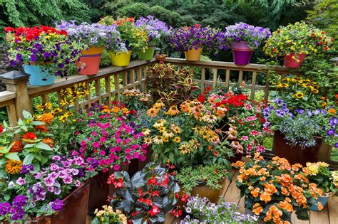 Welcome to garden ideas online! 12 Ideas for Flowering Container Gardens