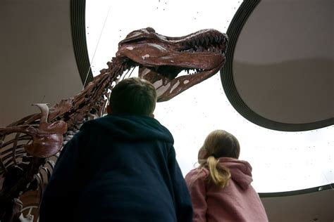 Das Dino Museum Lingo Das Mit Mach Web