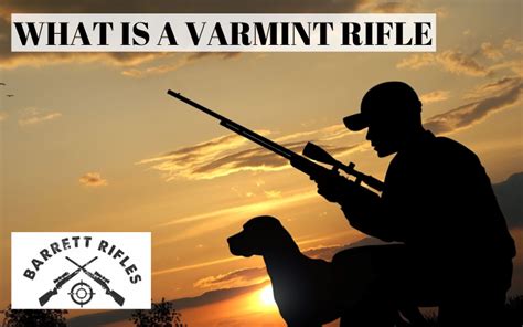 What Is A Varmint Rifle Good Gun Calibers For Any Hunter