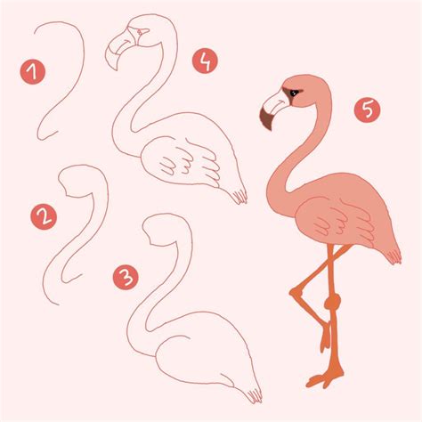 7 Flamingos Draw Step By Step Also For Children And Of Course Pink