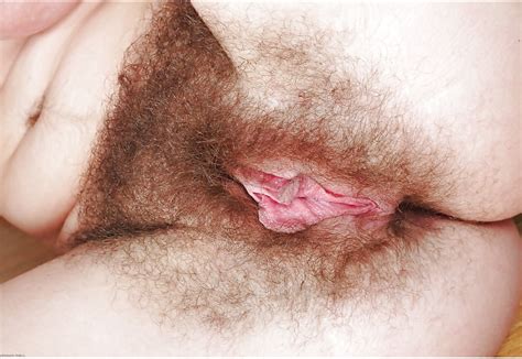 Hairy Pit Pussy Ass 252 Pics 2 Xhamster