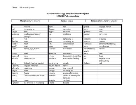Module Medical Terminology Sheet For Muscular System Week