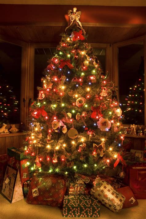 The classic christmas tree portrait can be problematic. 11 Awesome And Dazzling Christmas Tree Lights Ideas ...